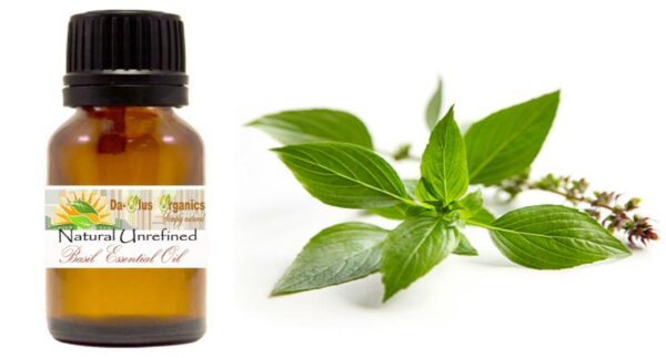 BASIL EXOTIC OIL