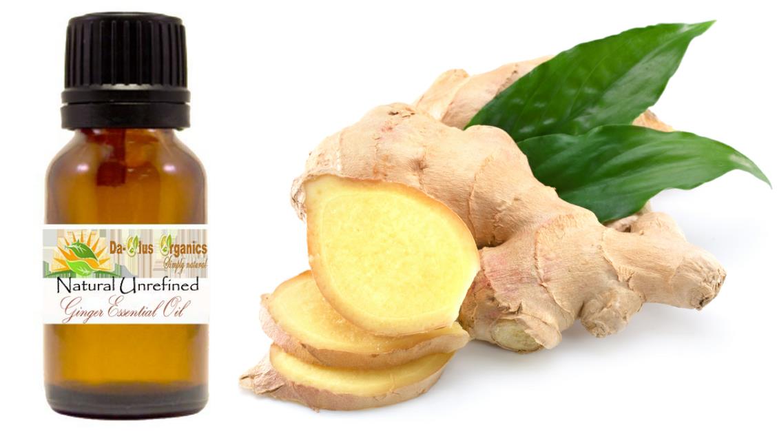 GINGER OIL
